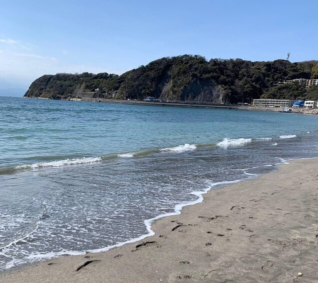 A beach with gentle waves, a sandy shore, and a forested hill in the background. 2