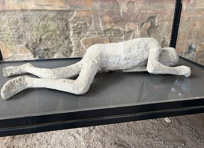 A skeletal figure displayed in a glass case. 2