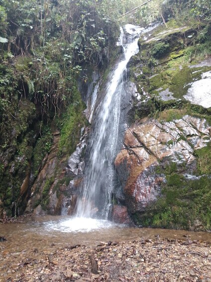 A waterfall cascading over moss-covered rocks in a forested area. 2