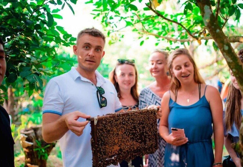 A person holding a beehive in a wooded area. 2