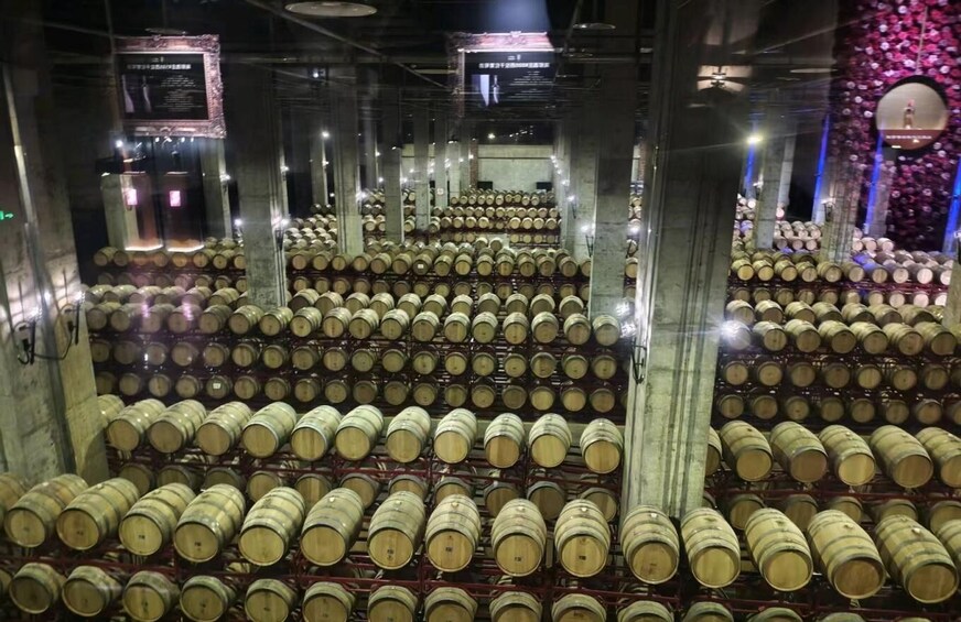 A warehouse with rows of wooden barrels stacked on shelves. 3