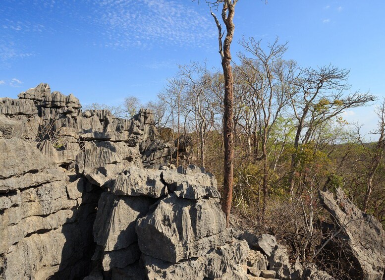 A rocky cliff with sparse vegetation and a clear sky. 2