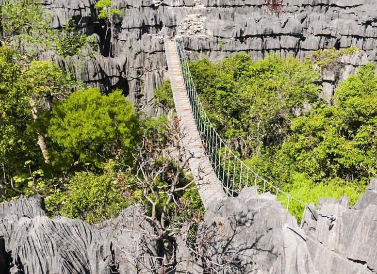 A suspension bridge in a rocky canyon with dense green foliage. 3
