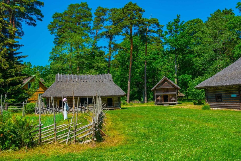 A rustic log cabin with a thatched roof, surrounded by lush greenery and tall trees. 2