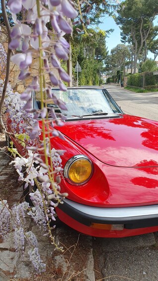 A red vintage car parked on a street with purple flowers in the foreground. 1