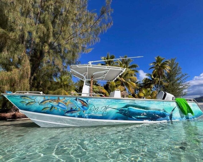 A boat with a tropical mural, surrounded by clear water and palm trees. 1