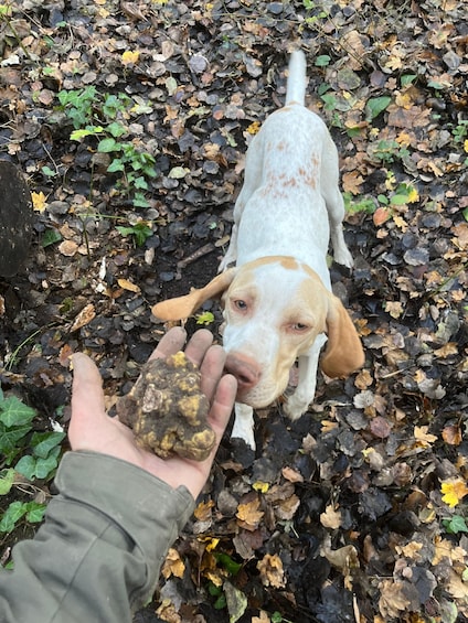A dog sniffing a hand holding a muddy object. 5