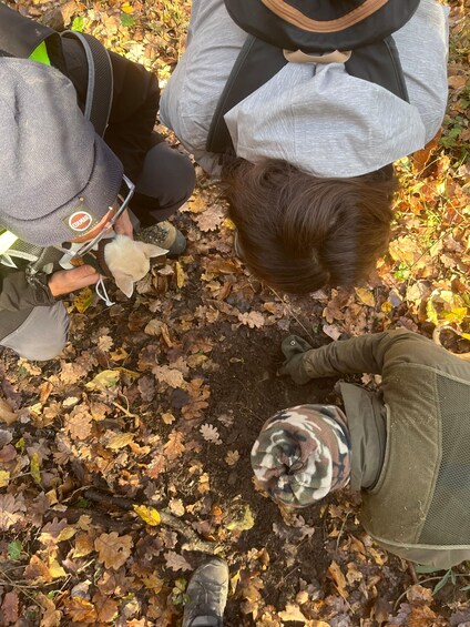People in outdoor gear, a cat, and a forest floor covered with fallen leaves. 4