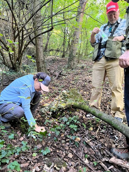 A person crouching near a fallen tree in a forest, another person standing nearby, and a third person in the background. 3