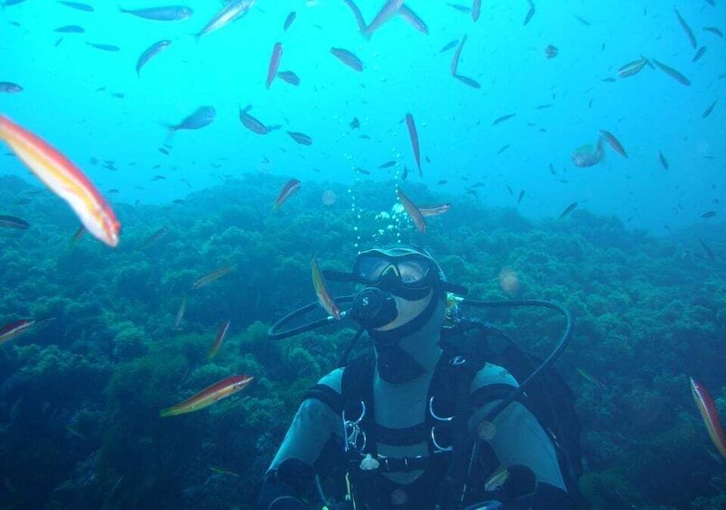 A diver surrounded by fish in an underwater environment. 5