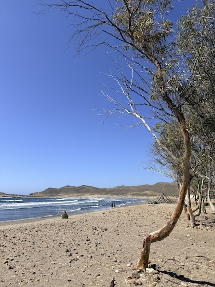 Picture 1 for Activity Cabo de Gata: Ebike Tour to Mónsul, Genoveses & Hidden Coves 2