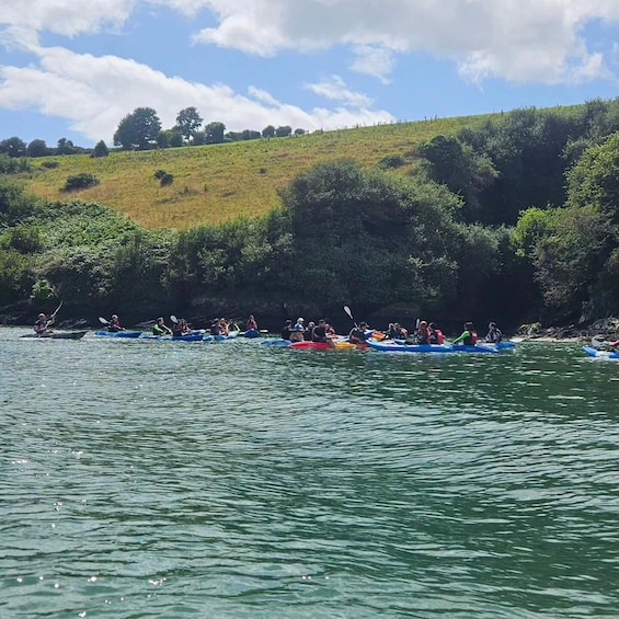 A group of people kayaking on a river. 5