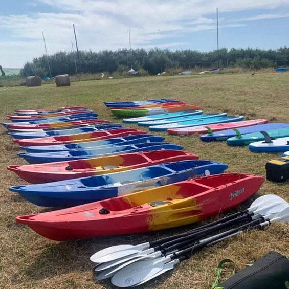 A row of colorful kayaks and paddles on a grassy field. 4