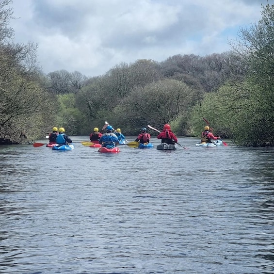 A group of kayakers navigating a river surrounded by trees. 1