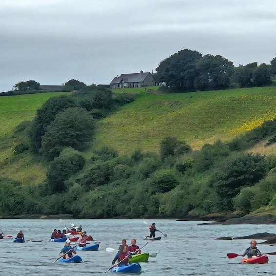 A group of people kayaking on a river with a house and greenery in the background. 2