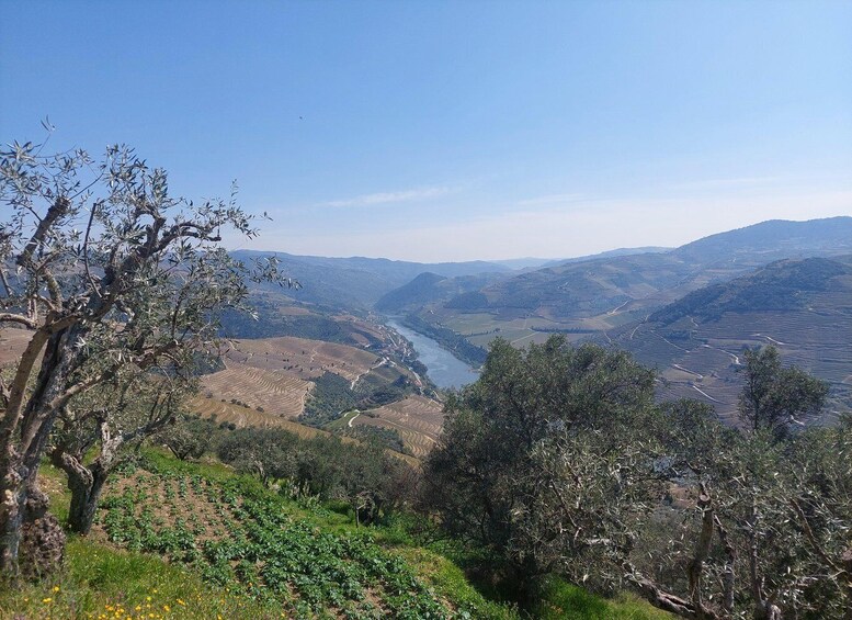 A valley with terraced fields and a river. 2