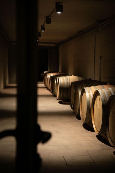 A dimly lit room with wooden barrels aligned against the wall. 1