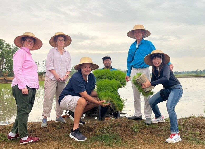 A group of people near a body of water, some wearing hats, and one person holding a plant. 1