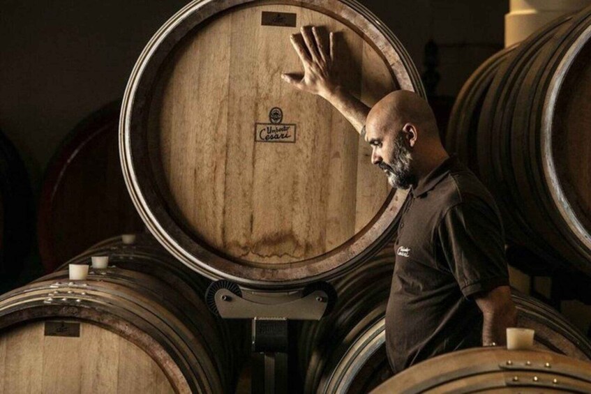 A man inspecting a wooden barrel in a cellar with other barrels around. 1