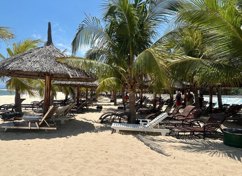A beach with lounge chairs, palm trees, and a thatched-roof hut. 4