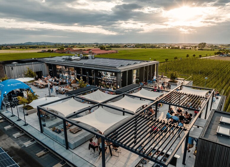 An outdoor event space with a modern building, seating areas, and a vineyard in the background. 1