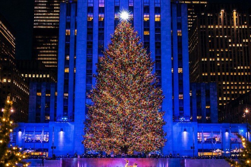 A large Christmas tree in front of a building with illuminated windows. 4