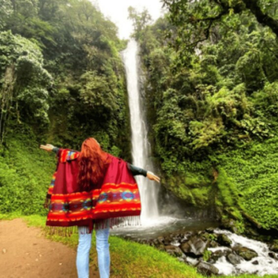 A person standing on a path with arms outstretched, facing a waterfall in a lush green forest. 3