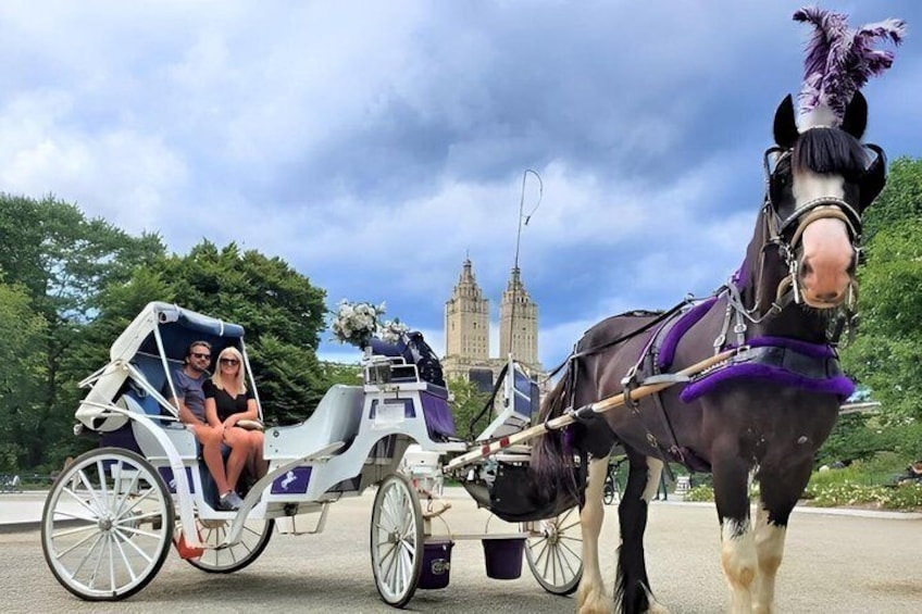A horse-drawn carriage with passengers, a horse with a purple mane, and a historic building in the background. 2