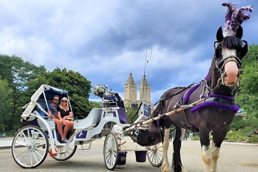 A horse-drawn carriage with passengers, a horse with a decorative headpiece, and a historic building in the background. 2