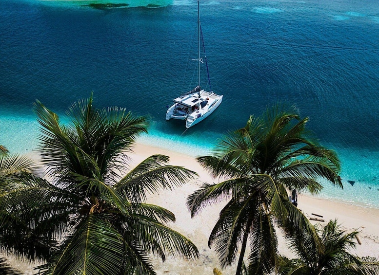 A boat anchored near a beach with palm trees. 3