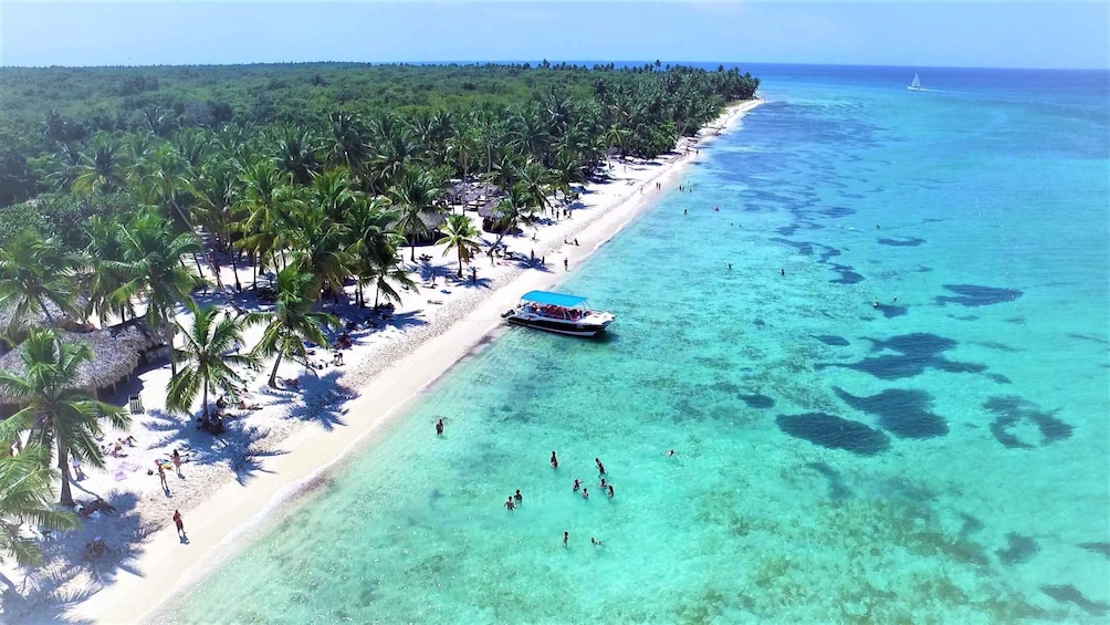A beach with clear turquoise waters, palm trees, and a boat. 1