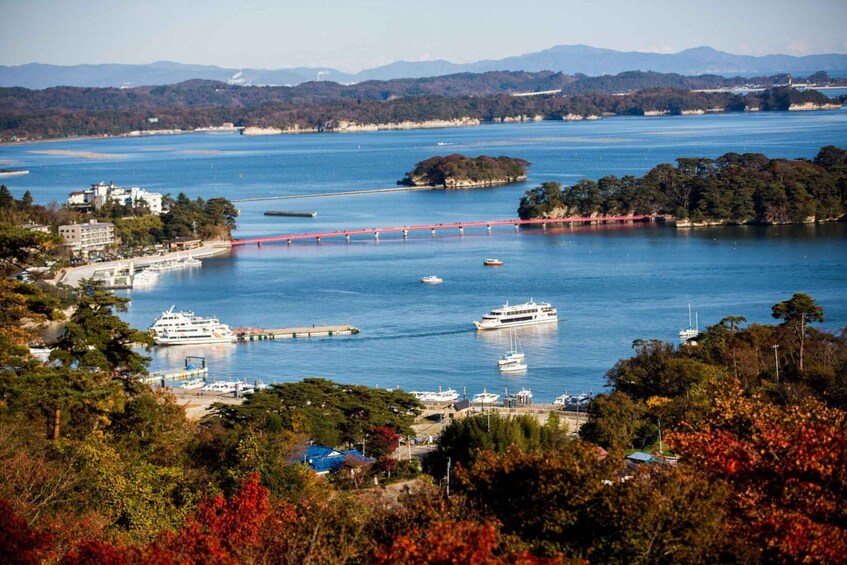 A coastal town with a bridge, boats, and a forested area. 1