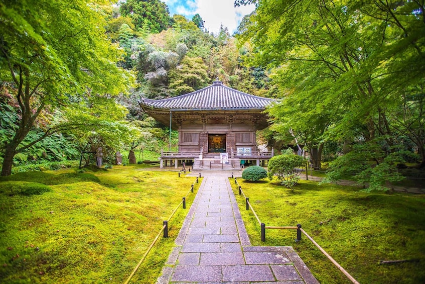 Picture 1 for Activity 1-Day Tour from Sendai: Matsushima Bay & Scenic Boat Cruise 2