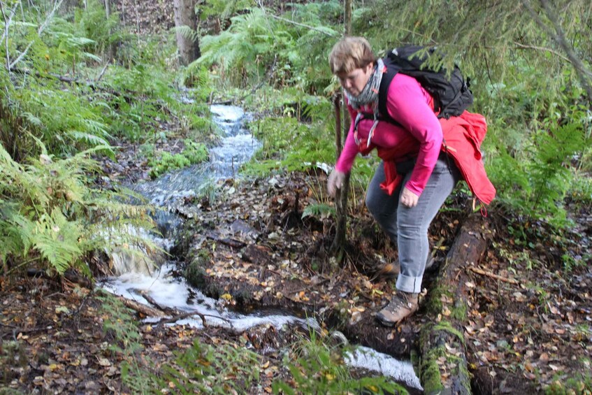 A person crossing a small stream in a forested area. 5