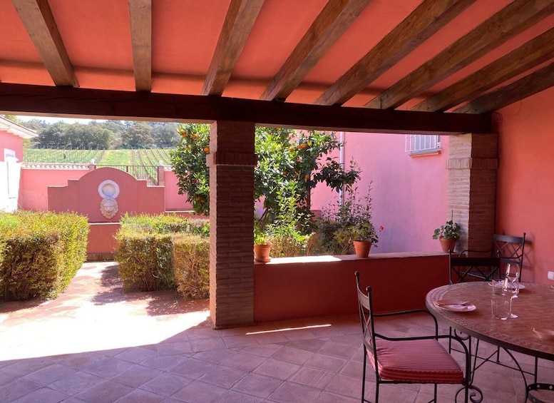 A covered patio with a table and chairs, surrounded by potted plants and a view of a vineyard. 1