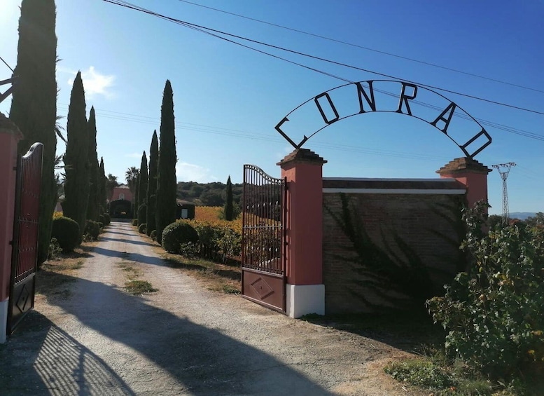 A gated entrance with a sign reading 'CONRAD' and a gravel path leading through a landscaped area with tall cypress trees. 2