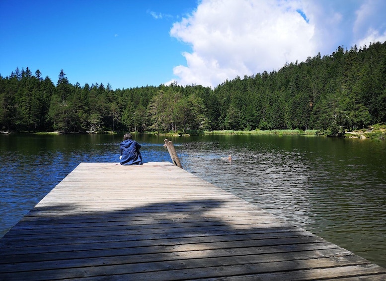 A wooden dock extending into a calm lake, surrounded by dense forest. 1