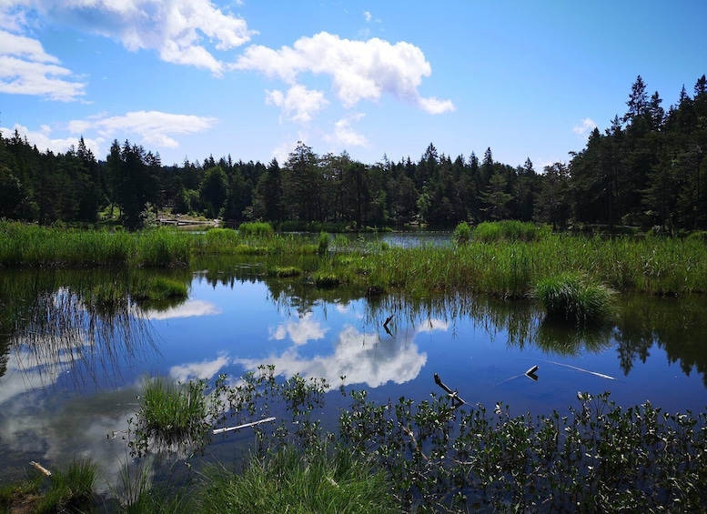 A calm lake surrounded by dense forest and a clear blue sky. 3