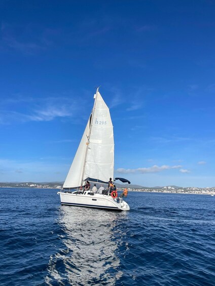 A sailboat with a white sail marked 'h 295' on the water. 2