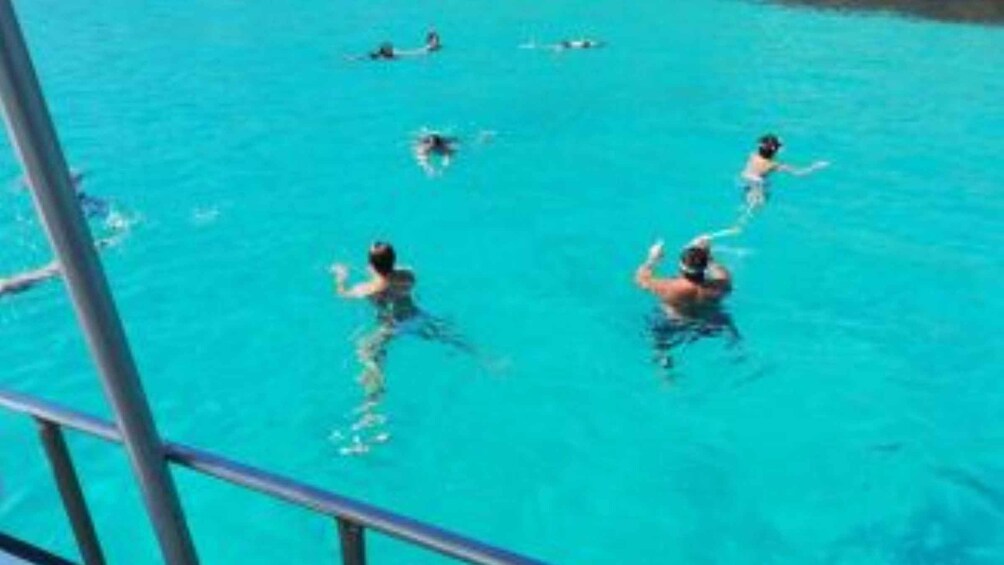 People swimming in a clear blue pool. 2