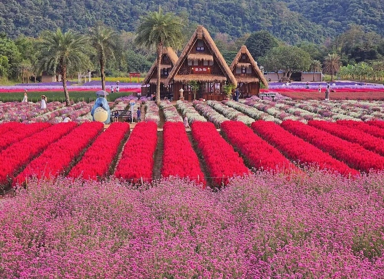 A field of red flowers with a traditional thatched-roof structure in the background. 1