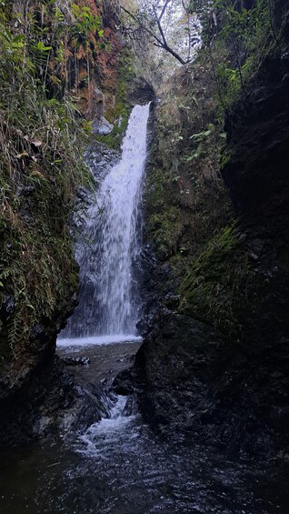 Picture 5 for Activity Trekking and Waterfalls on Cerro Quitasol, Bello 3