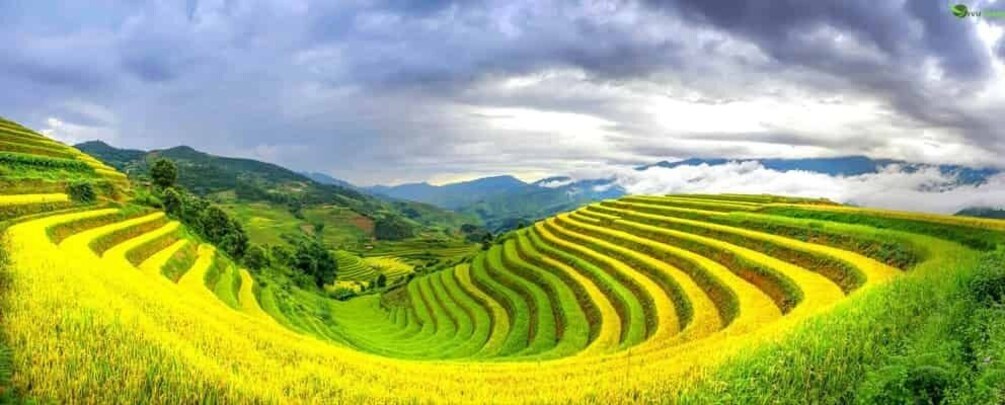 Terraced fields with a mountain range in the background. 5
