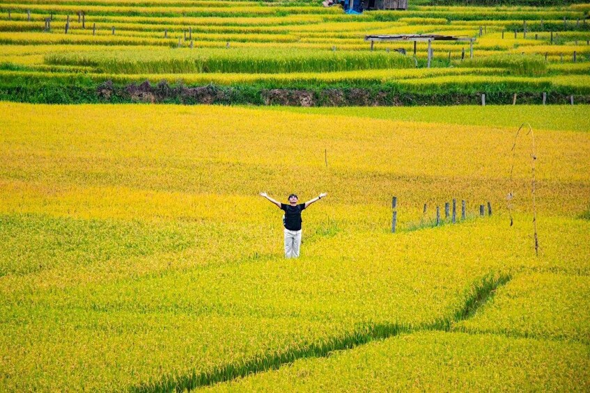 A person standing in a rice field with arms raised. 3