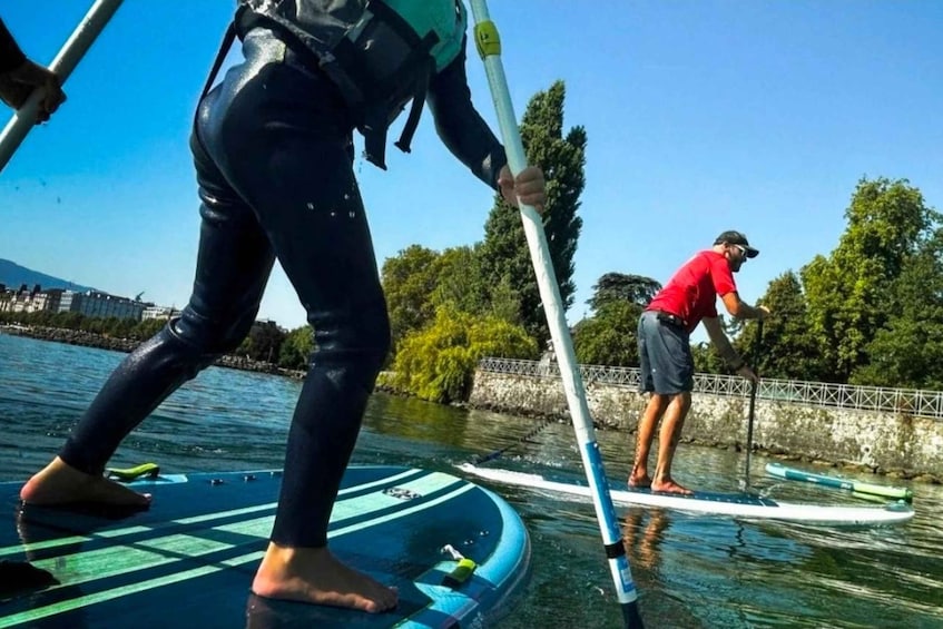 Two people paddleboarding on a calm body of water with trees and a stone wall in the background. 3