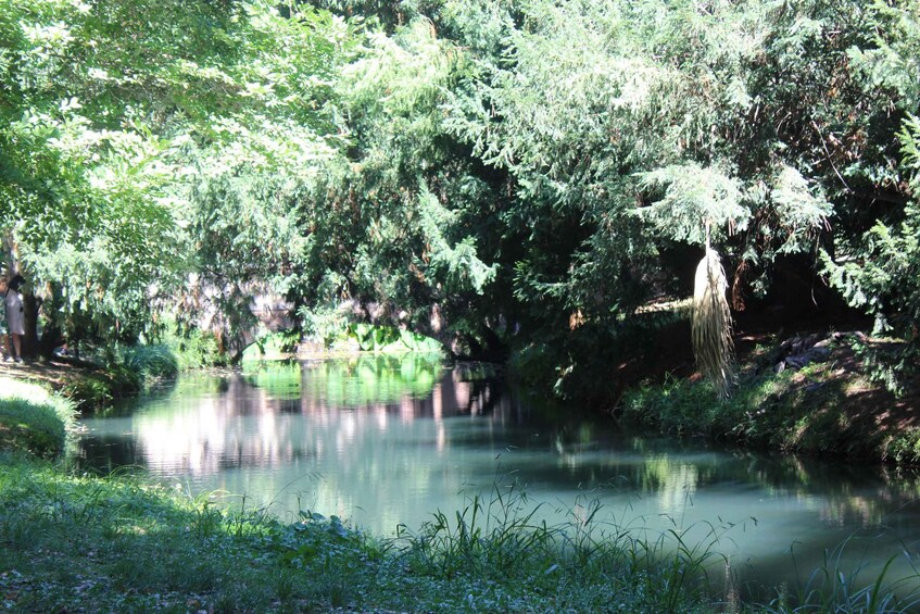 A calm river surrounded by dense greenery and trees. 3