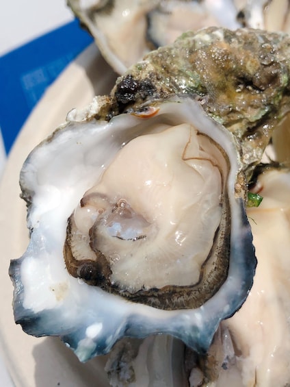 A close-up of a raw oyster with a visible oyster shell and a blue label in the background. 1