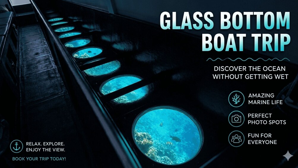 A glass-bottom boat trip with views of marine life and photo spots. 4