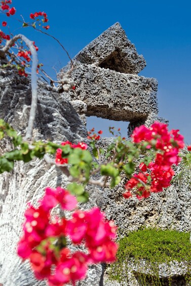 A rock formation with a cave-like structure, surrounded by red flowers and greenery. 2