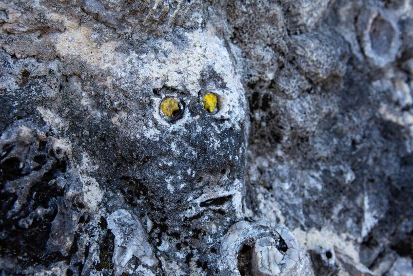 A close-up of a rock face with two yellow eye-like features. 3